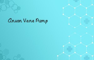 Anson Vane Pump