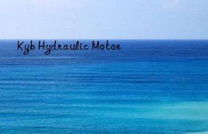 Kyb Hydraulic Motor