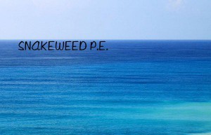 SNAKEWEED P.E.