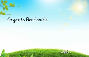 Organic Bentonite