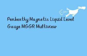 Penberthy Magnetic Liquid Level Gauge MGGR Multiview