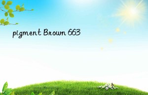 pigment Brown 663