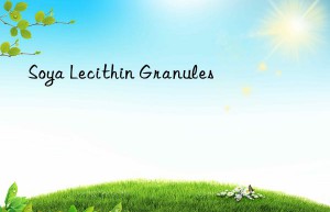 Soya Lecithin Granules