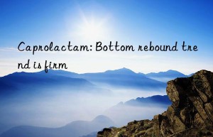 Caprolactam: Bottom rebound trend is firm