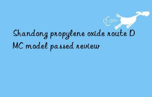 Shandong propylene oxide route DMC model passed review