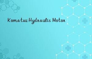 Komatsu Hydraulic Motor