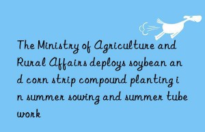 The Ministry of Agriculture and Rural Affairs deploys soybean and corn strip compound planting in summer sowing and summer tube work