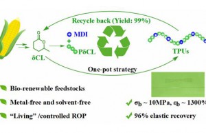 Domestic researchers have made new progress in bio-based recyclable polyurethane