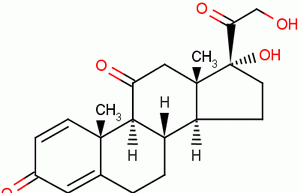 PREDNISONE