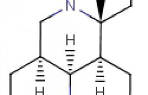 Oxymatrine