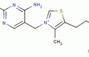 VITAMIN B1