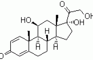 PREDNISOLONE