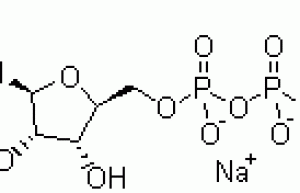 Citicoline Sodium