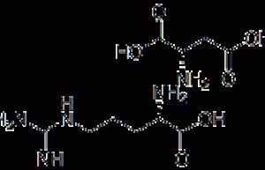 L-Arginine-L-Aspartate 7675-83-4