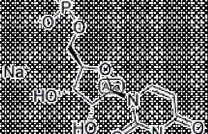 Uridine 5′-Monophosphate Disodium Salt(UMP- Na2)