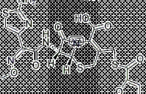 Ceftiofur hydrochloride