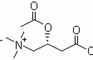 Acetyl-L-Carnitine Hydrochloride