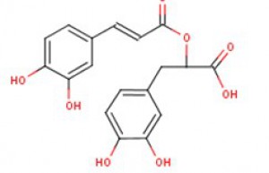 Rosmarinic Acid