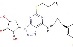 Ticagrelor