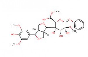 Siberian Ginseng Extract