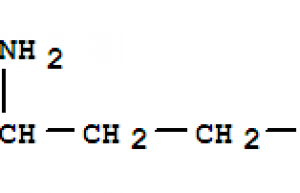 GLUTAMINE