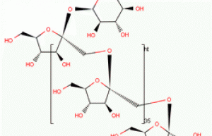 Burdock root p.e