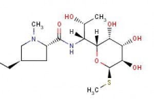 LINCOMYCIN HCL