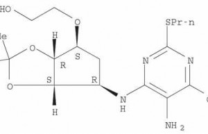 Intermediate of Ticagrelor 376608-74-1