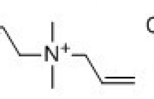 N,N-Dimethyl-N-2-propenyl-2-propen-1-aminium chloride