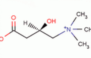 L-Carnitine