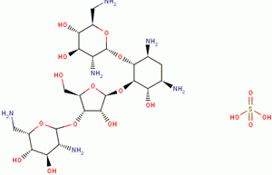 NEOMYCIN SULFATE