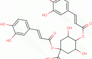 Cynarin,Artichoke leaf extract