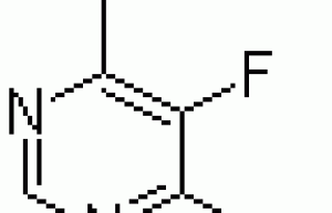 6-ethyl-5-fluoropyrimidin-4(3H)-one