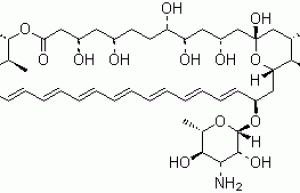 Amphotericin B