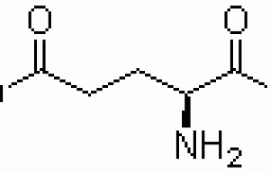 L-glutamic acid 5-methyl ester 1499-55-4