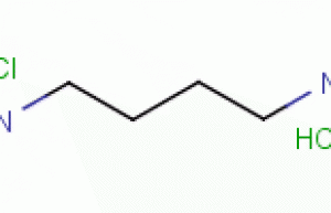 1,4-Diaminobutane dihydrochloride CAS 333-93-7