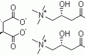 Powerful weight loss L-Carnitine 99% By HPLC
