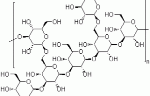 Shiitake Mushroom Extract