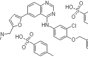 Lapatinib Ditosylate