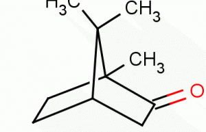 D-campher,D-camphor,natural campher powder