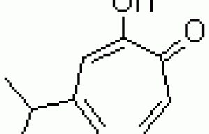 Hinokitol CAS 499-44-5