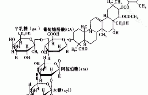 Black cohosh extract