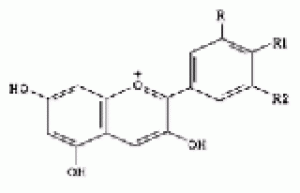 Bilberry extract