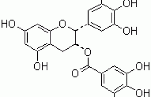 Oolong tea extract