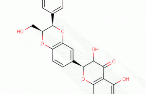 Silybum Marianum Extract