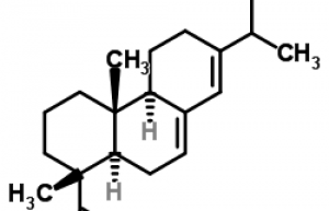 gum rosin