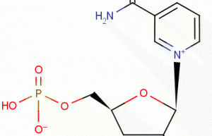 Beta-Nicotinamide Mononucleotide