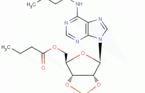 N6-2′-O-Dibutyryl-adenosine 3′,5′-cyclophosphate sodium salt monohydrate