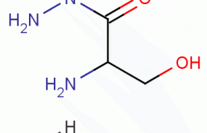 DL-Serine hydrazide hydrochloride 55819-71-1