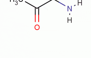 Aminoacetone HCl